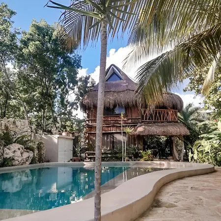 Inn Zamunda Garden View