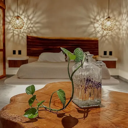 Casa Kobaab 4*