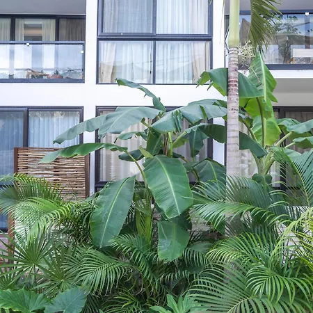 The Waves Secluded Studio With Balcony * Tulum