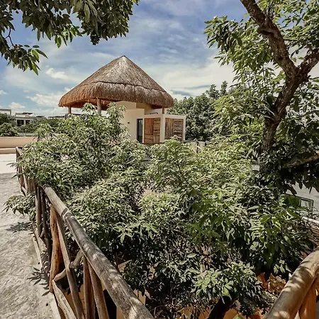 Casa Kobaab 4*