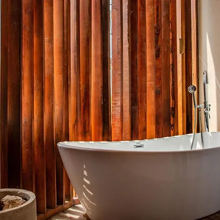 Serenity Haven Intimate Apartment