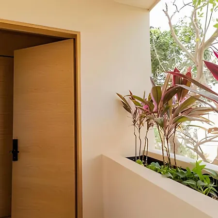Apartment Full With Private Pool, Roof Garden, Bbq, Wifi, 2 Beds