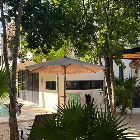 Elegant With Private Pool And Bbq Patio Tulum
