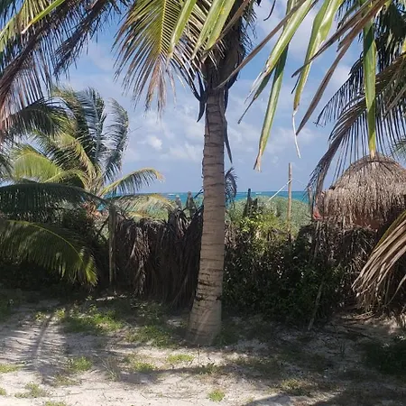 Elegant With Private Pool And Bbq Patio * Tulum