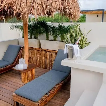 Tropical Oasis Edition