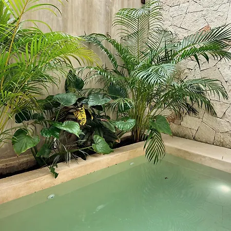 Casa Kobaab 4*