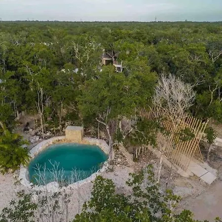 Eco-luxury Living Bungalow