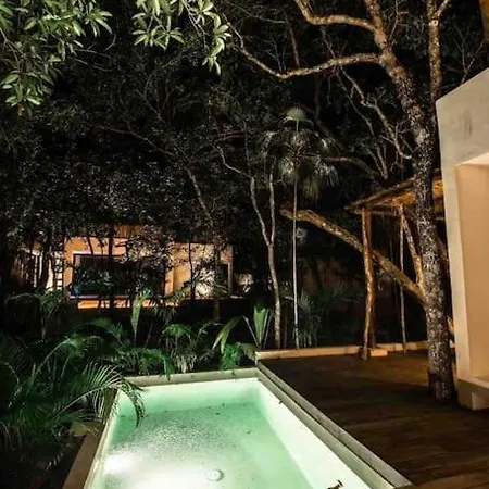 Eco-luxury Living Bungalow Tulum