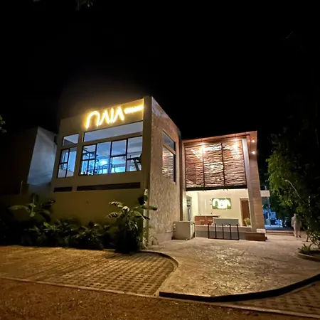 Apartment Naia