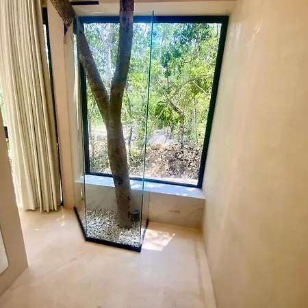 Picasso * Tulum