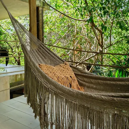 Hotel Sunset House 2*