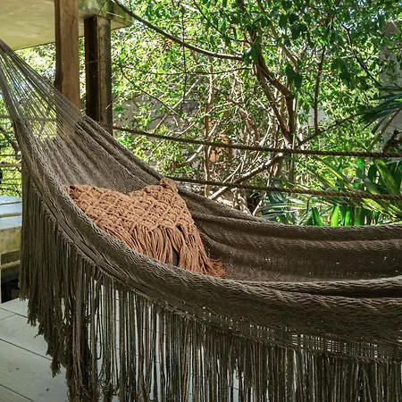 Hotel Sunset House