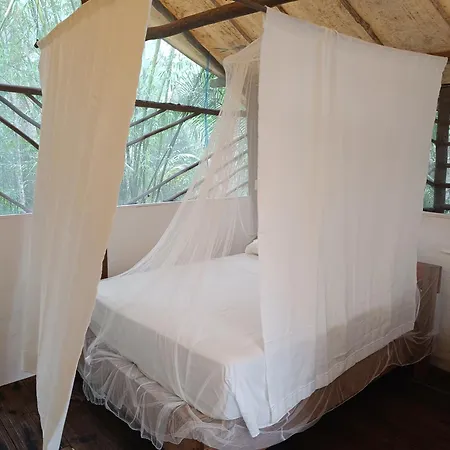 Campsite Rancho Jaguares Tulum