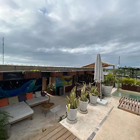 Tuluna Apartment