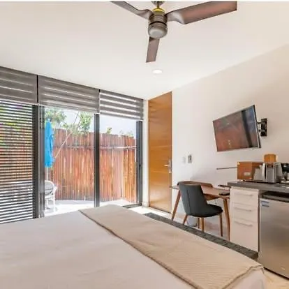 Beautiful Akumal Townhouse With Private Plunge Pool Apartment