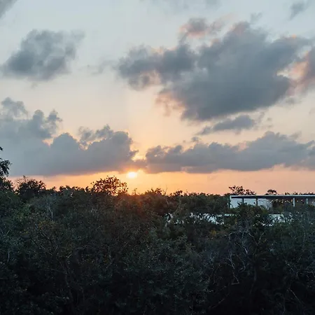 Modern Loft In Aldea Zama With 1 Bedroom * Tulum