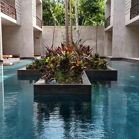 Pool And Rooftop Apartment