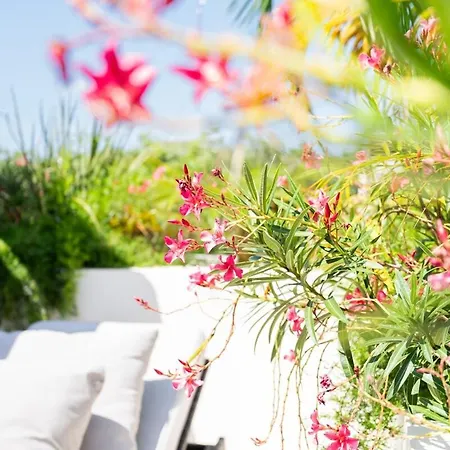 Charming With Pool In Aldea Zama Villa *