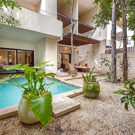 Private & Infinity Pool, King Bed, Sauna, Gym & Tulum