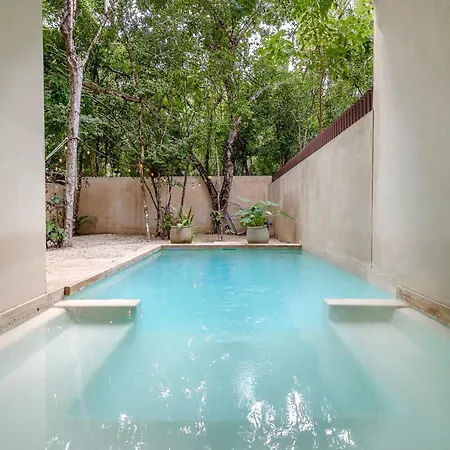Private & Infinity Pool, King Bed, Sauna, Gym &