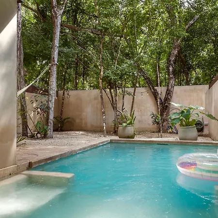 Apartment Private & Infinity Pool, King Bed, Sauna, Gym & Tulum