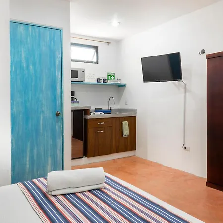 Casa Toloc 4*