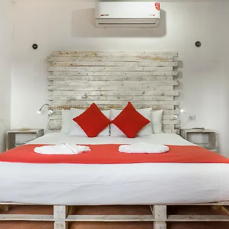 Casa Toloc
