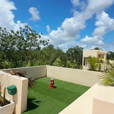 Cocay Welcome To The Jungle Tulum