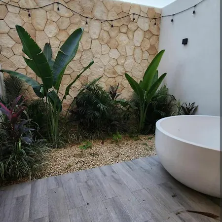 Luxury Apartment, In Apartment