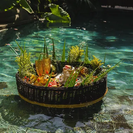 Villa Luxury Cenote *