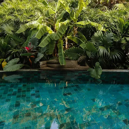 Villa Luxury Cenote