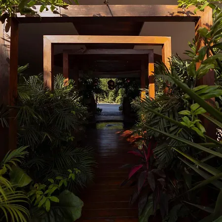 Villa Luxury Cenote *