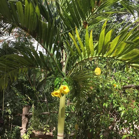 Rancho Jaguares Tulum
