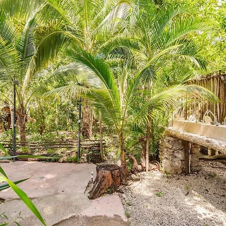 Rancho Jaguares Campsite Tulum