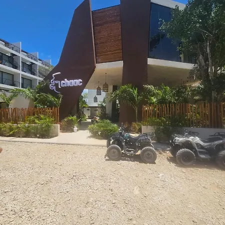 Paraiso En La Selva De
