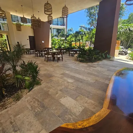 Paraiso En La Selva De
