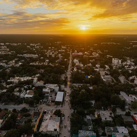 Beautiful 1br With Jacuzzi 2 Blocks From Calle 7 Tulum