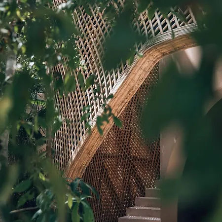 Jungle Loft Bike Included
