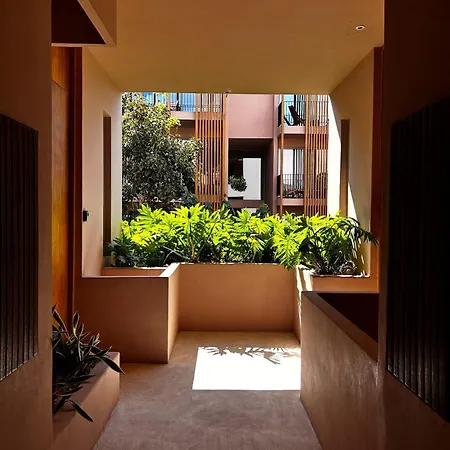 Apartment Jungle Loft Bike Included