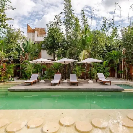 Bambu Con Alberca Privada En Villa