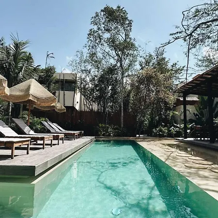 Bambu Con Alberca Privada En Tulum
