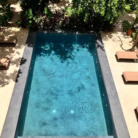 Ximbal 4 Guest Wifi Pool Gym Laundry Tulum