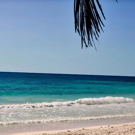 Azucar Tulum