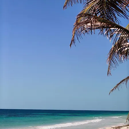 Hotel Azucar 3*