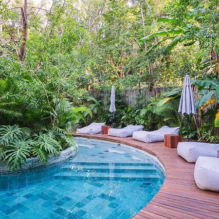 Apartment Romantic Garden Apt W Private Pool Spa Access Tulum