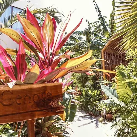 Private Pool & Cenote Kava