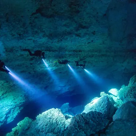 Canopy Cove Loft Private Jacuzzi Parking & B-club * Tulum