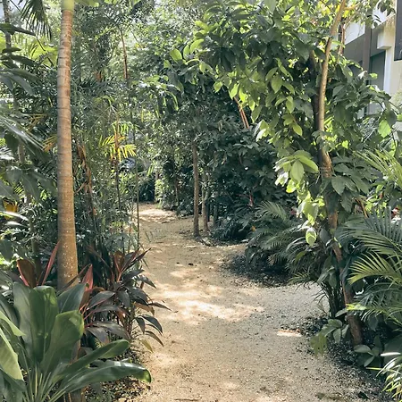 Apartment Canopy Cove Loft Private Jacuzzi Parking & B-club