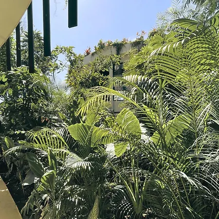 Apartment Canopy Cove Loft Private Jacuzzi Parking & B-club Tulum