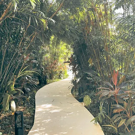 Canopy Cove Loft Private Jacuzzi Parking & B-club Tulum